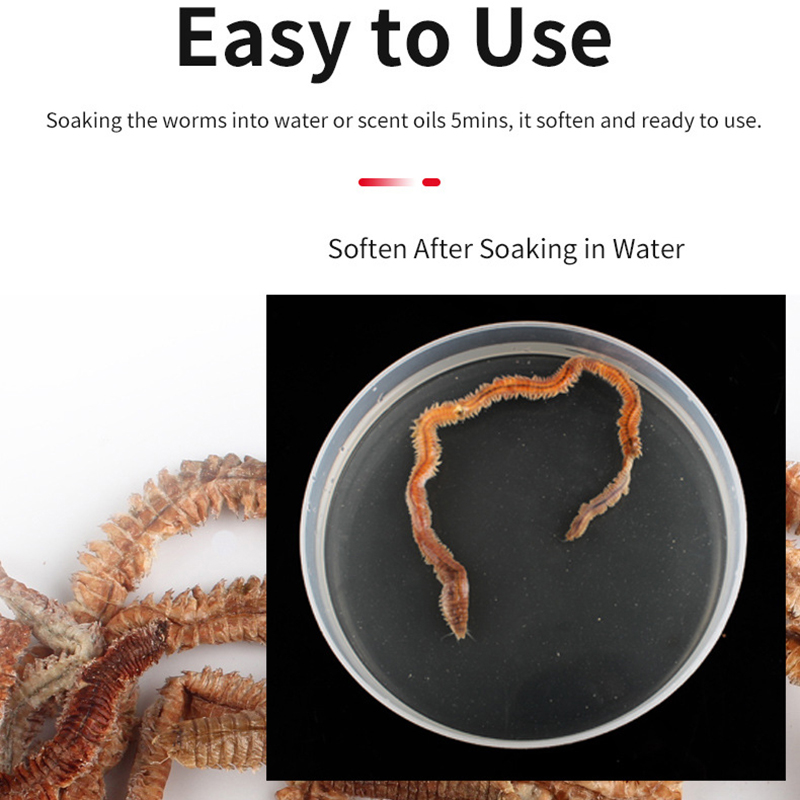 100% Naturalne Suche Robaki Pi – Quality Fishing Equipment recenzja i cena